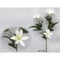 VARA PASIFLORA 3D X3 67CM BLANCO                  