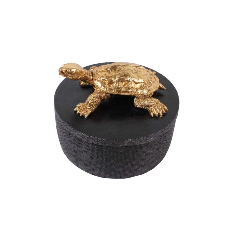 CAJA TORTUGA FIG. POL 18*14