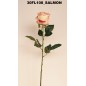 VARA ROSA ALICIA SALMON                           