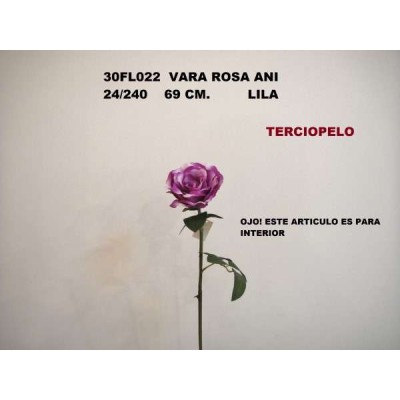 VARA ROSA ANI LILA                                