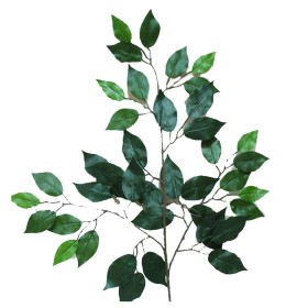 PAQ. 6 FICUS 42 HOJAS H 60 CM 50 CM VERDE