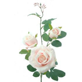 ROSA X 3 AVALANCHE ROSA                           