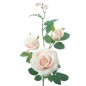 ROSA X 3 AVALANCHE ROSA                           