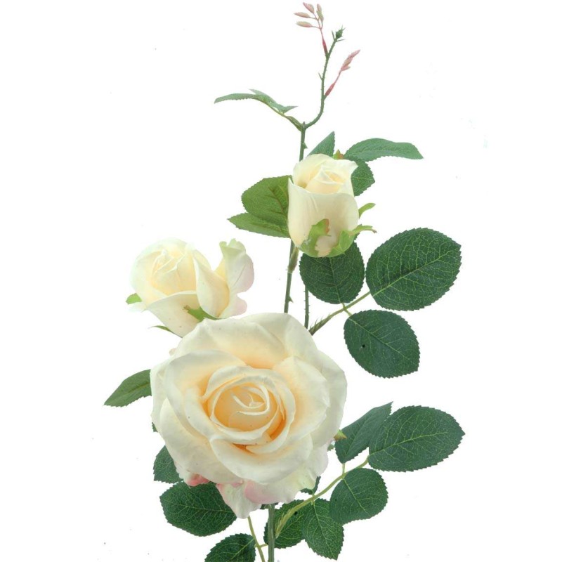 ROSA X 3 AVALANCHE AMARILLO                       