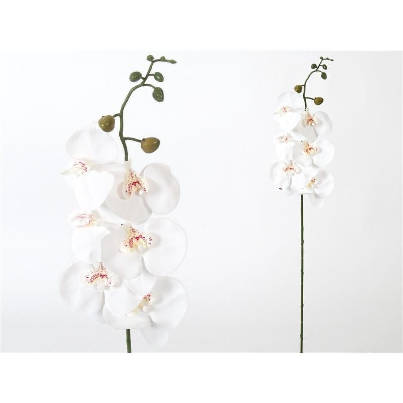 VARA ORQUIDEA X6 R/TOUCH 76CM BLANCO