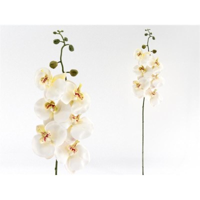 VARA ORQUIDEA X6 R/TOUCH 76CM CREMA
