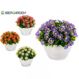 PLANTA FLORES MARGARITA SURT 4 COL