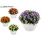 PLANTA FLORES MARGARITA SURT 4 COL