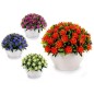PLANTA FLORES TREBOL SURT 4 COL