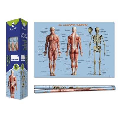 POSTER CUERPO HUMANO 70X100 CM