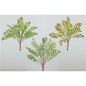 HELECHO TROPICAL X 14 HOJA 42CM SURTIDO           