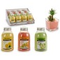 ARENA AROMATICA DECO SURT.3 CITRICOS