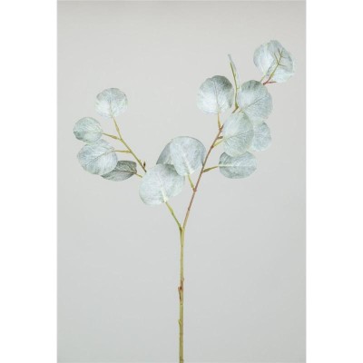 EUCALIPTO NATURAL X2 72CM BLANCO