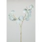 EUCALIPTO NATURAL X2 72CM BLANCO