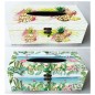 CAJA PAÑUELOS SURTI.25X14X9                       