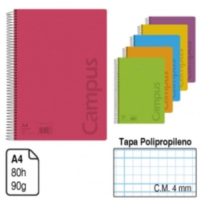 2432 BLOC A4 P.P C.M 4MM 80H CAMPUS 90 GR