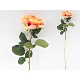 VARA ROSA ORLY 70 CM TE
