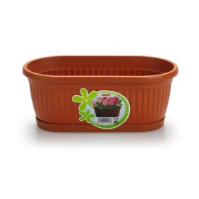 JARDINERA + PLATO 22 CM