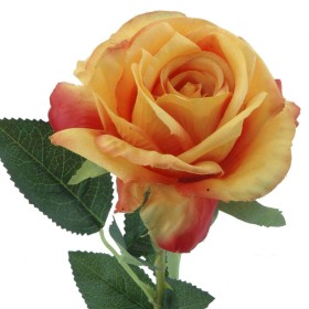 ROSA 64 CMS NARANJA                               