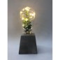 PLANTA CRISTAL C/LED 8*19 PLANTA CRISTAL C/LED 8*19