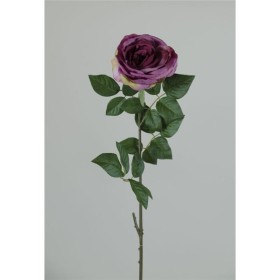 PEONIA X1 77 CM LILA