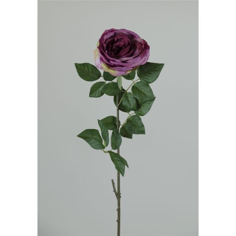 PEONIA X1 77 CM LILA