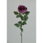 PEONIA X1 77 CM LILA