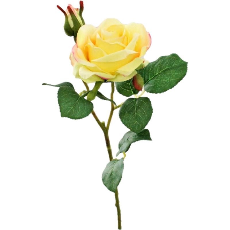 VARA ROSA SOFIA AMARILLO