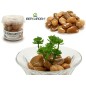 BOTE 1KG PIEDRA DECORATIVA MARRON GRANDE          