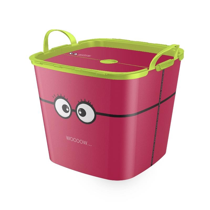 ROPERO LIFE STORY TUB WITH LID 25L IML GLASSES