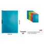 CARPETA CON CLIP A4 COLOR