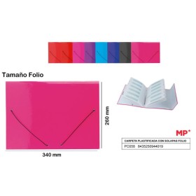 CARPETA C/SOLAPA CLASIFICADORA 340*260 MM