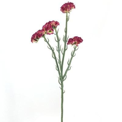 STATIS 64 CMS FUCSIA
