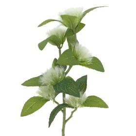 CENTAUREA BLANCO