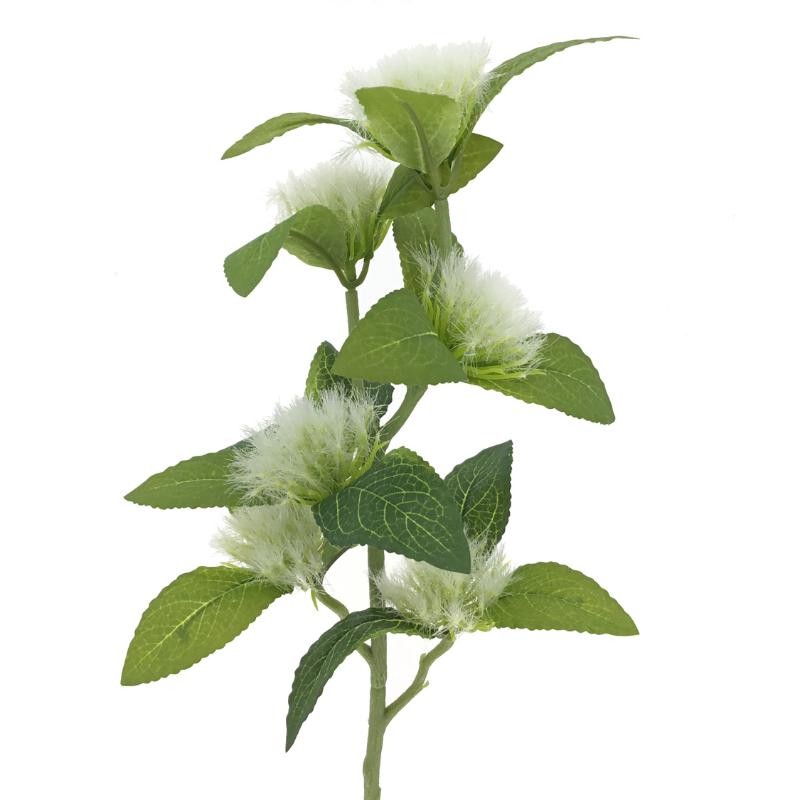 CENTAUREA BLANCO