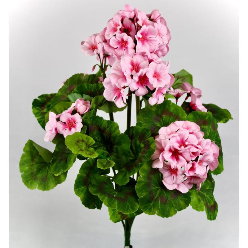 MATA GERANIOS X9 ROSA