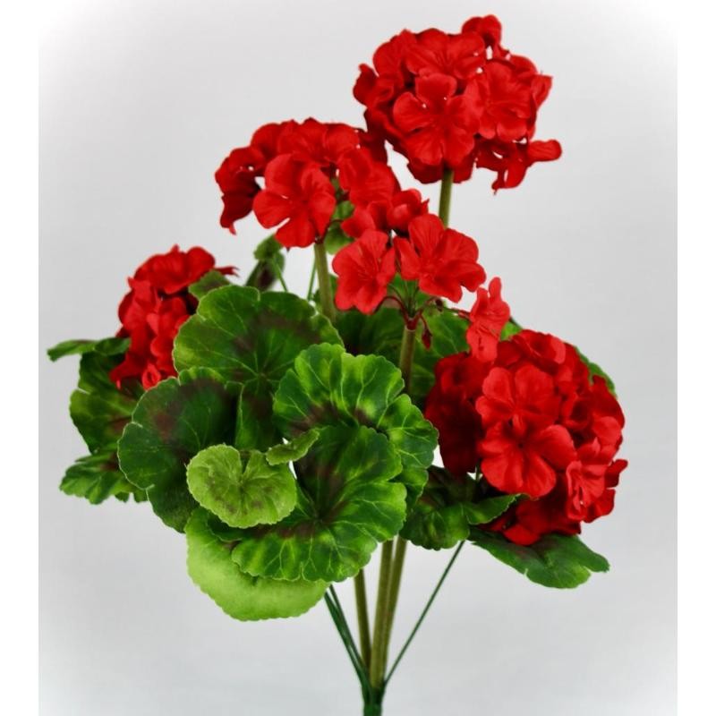 MATA GERANIOS X9 ROJO