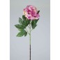 PEONIA X1 78 CM ROSA                              