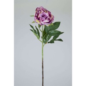 PEONIA X1 78CM LILA                               