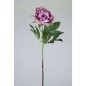 PEONIA X1 78CM LILA                               