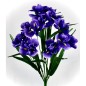 RAMO IRIS *18 LILA