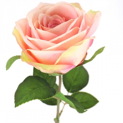 ROSA DE PROVENZA ROSA 65CM. ALTO 10 CM. DIAMETRO