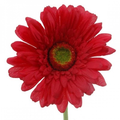 GERBERA ROJO 63CM. ALTURA 11CM. DIAMETRO