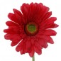GERBERA ROJO 63CM. ALTURA 11CM. DIAMETRO