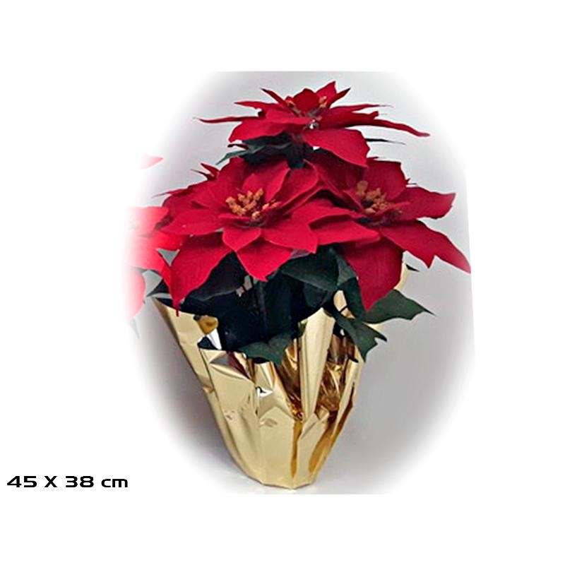 MACETA POINSETTIA BURDEOS 45X38 CM