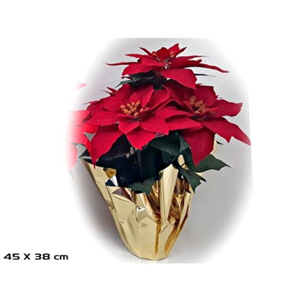 MACETA POINSETTIA BURDEOS 45X38 CM