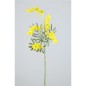 MIMOSA X5 60X18 CM AMARILLO