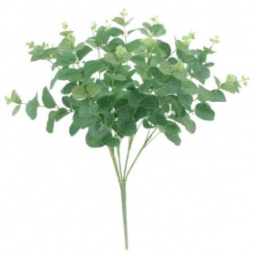 RAMO EUCALIPTUS X15 VERDE
