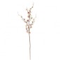 BLOSSOM MALVA