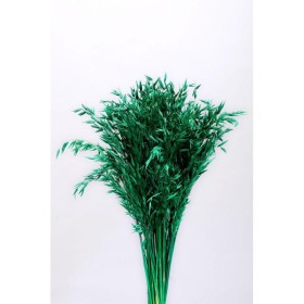 AVENA SECA VERDE 200 GR 60-65H CM